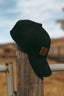 THE DENN- FLEX FIT CAP BLACK